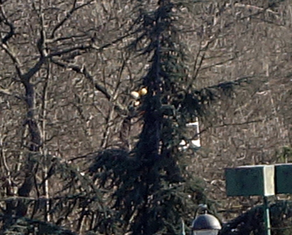 Profitez bien les loups, vous allez vous faire jeter par les générations futures incorruptibles qui vont prendre les choses en main.