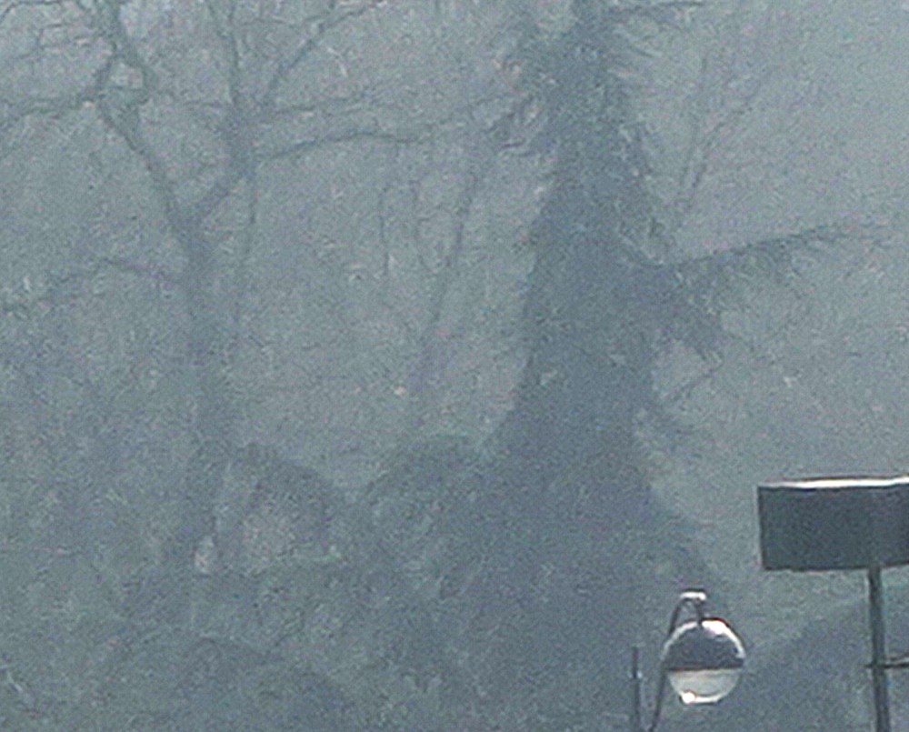 Si les jeunes comprenaient ce que les vieux font ! mais les jeunes se prennent en selfie !